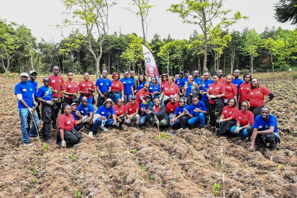 tree planting